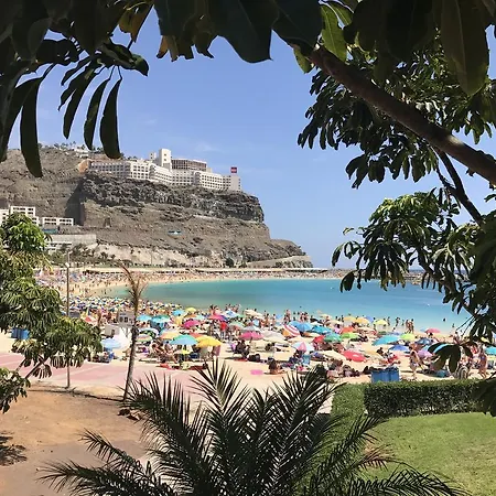 Perla De Apartamento *